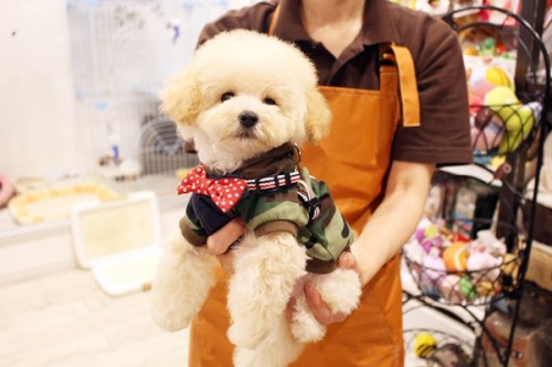 Tプ　11月20日生まれ